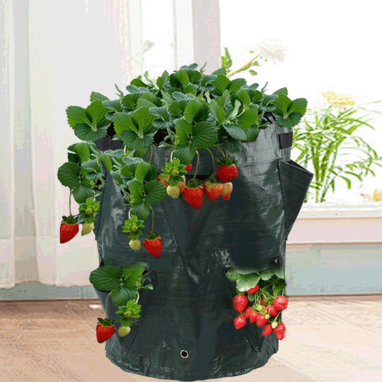 Betterlifegb - Strawberry Planting Bag Multi Bouches Plant Planting Bag Strawberry Planting Bag Round pe Medium pe 30x35cm (6 Bouches)