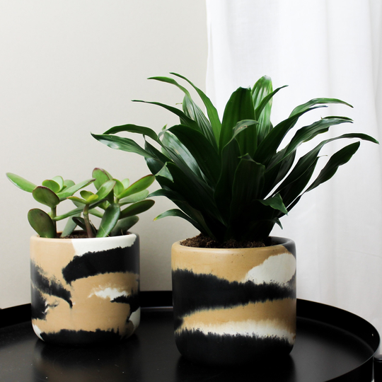 Eco Concrete - Pinto Multi Colour Medium Size Circle Round Plant Pot, Planter, Minimalist, Scandi Homeware, Gift, Sustainable, 4 Colours