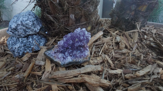 Amethyst Geode #429 | Crystals Deep Purple Gemstone Chakra Stones Wicca Witchcraft Collectable Metaphysical