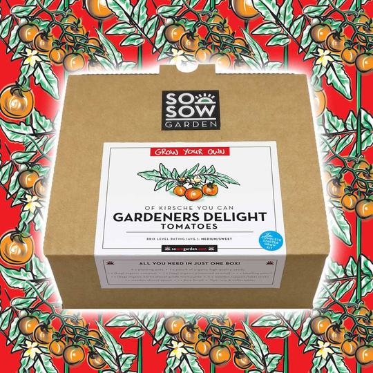 Gardeners Delight Tomato Grow Your Own Kit