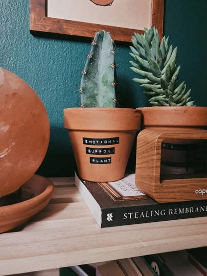 Emotional Support Plant Planter Terracotta