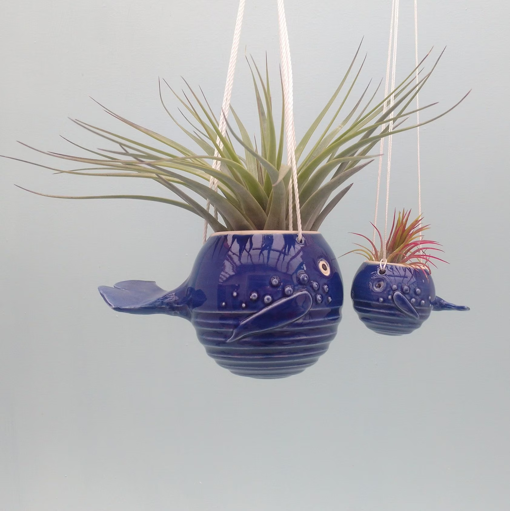 Mom & Baby Whales, Air Plant Hanger , Gift For Mom, Lover
