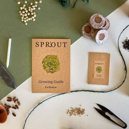 Grow Your Own Lettuce Seeds Gift Set
