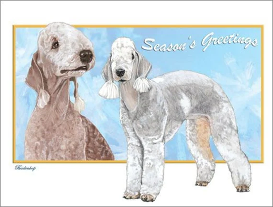 Bedlington Terrier Christmas Cards Set Of 10 & Envelopes