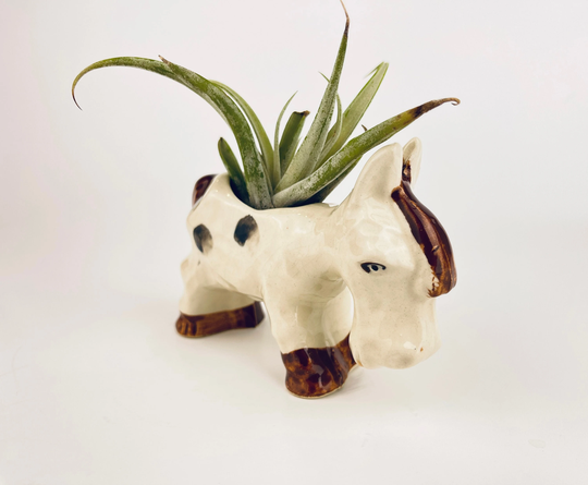 Vintage Hand Painted Ceramic Horse Planter - Made in Japan Excellent For Air Plants