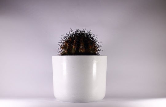 Large Concrete Pot. Planter. Pot Holder.beton Beton Cement Herb White Potteplante. Blumentopf