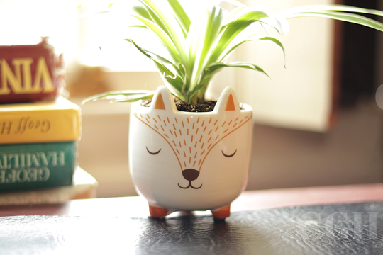 Mini Woodland Fox Planter, Sass & Belle, Stoneware Pot.-Gift