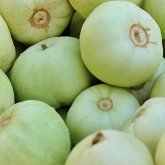 Sakata Melon Seeds