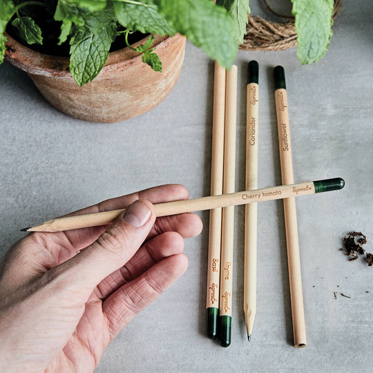 Set Of Five Sprout Herb Growing Pencils