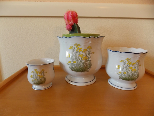 Takahashi Wild Flower Three Piece Planter Set