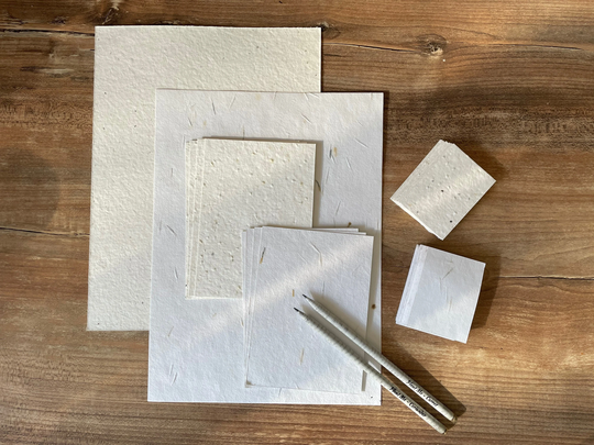 Eco Stationery Starter Kit - Seeded Paper Seed Pencils Plantable Stationary Recycled & Zero Waste Sustainable Materials