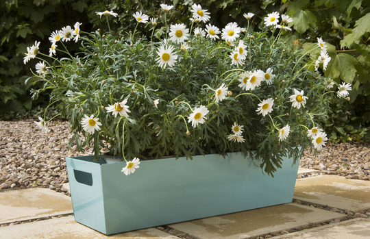 Metal Garden Trough Planter