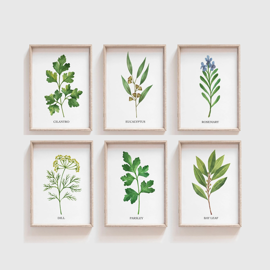 Watercolour Herb Prints, Kitchen Herbs, Choose Any Six Herbs, Wall Art, Herbs Set, Cooking Botanical Art