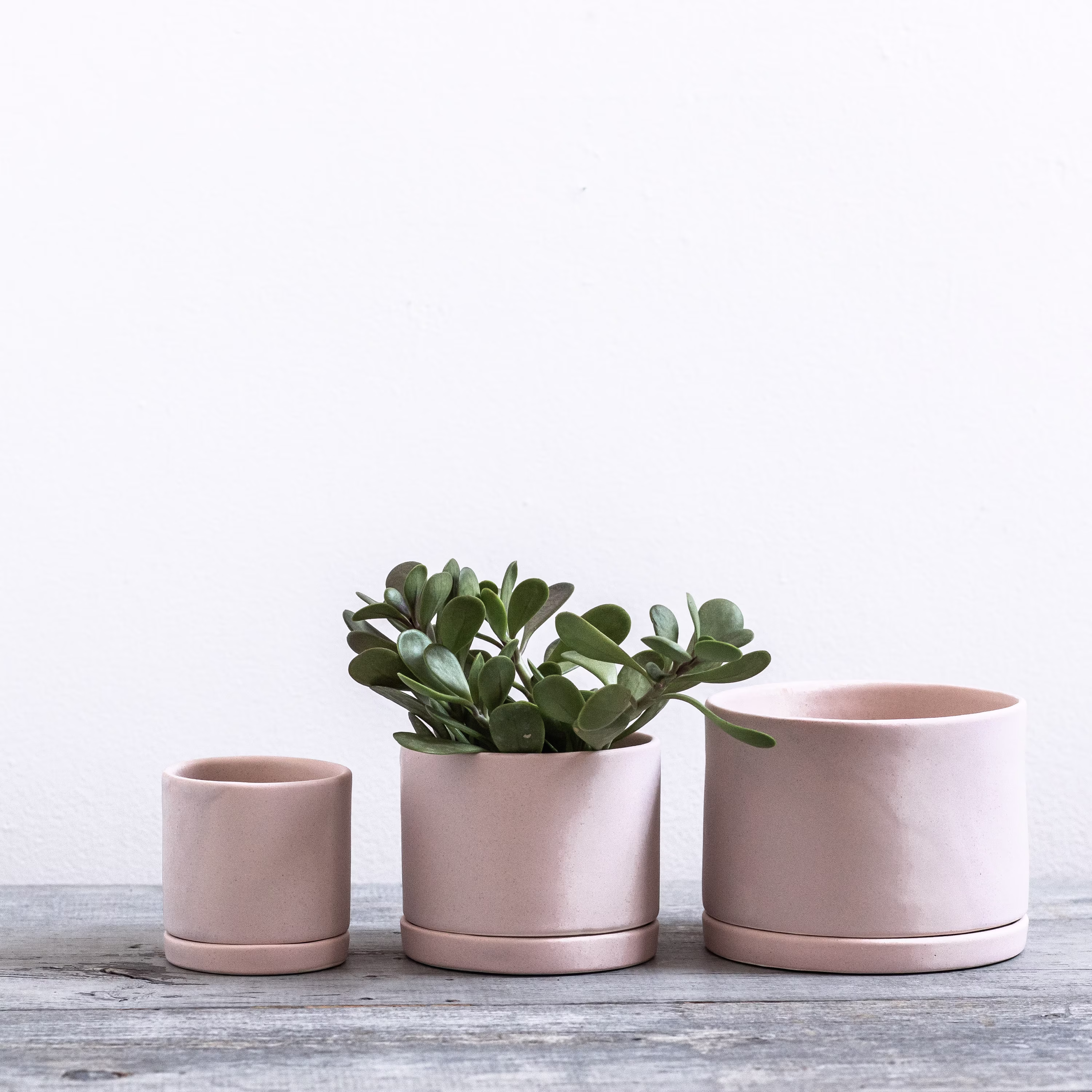 Tabletop Planter With Tray in Freckled Pink