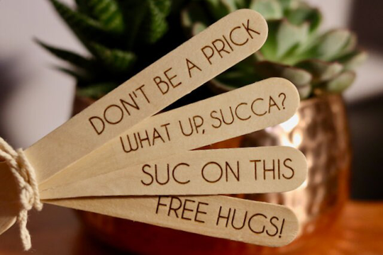 House Plant Garden Sticks. Succulent & Cactus Labels. Set Of Four House Plant Labels With Sassy Sayings