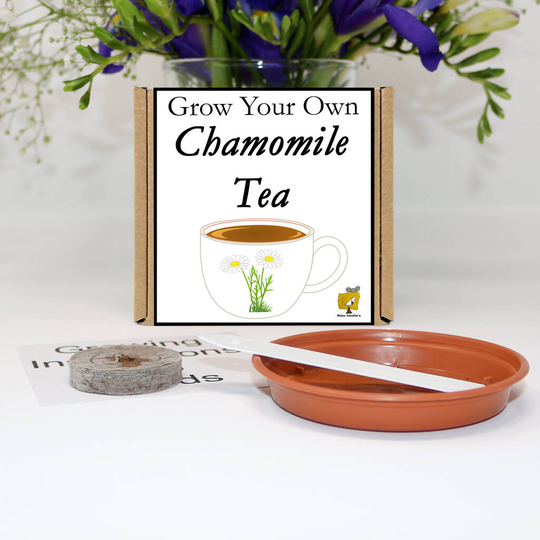 Grow Your Own Chamomile Tea Gift Set