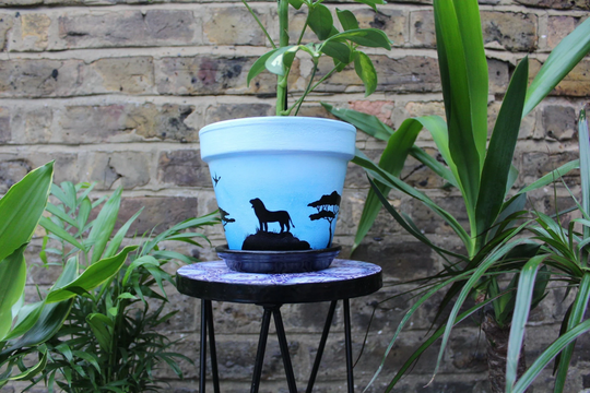 Morning Savannah Indoor Plant Pot With Saucer