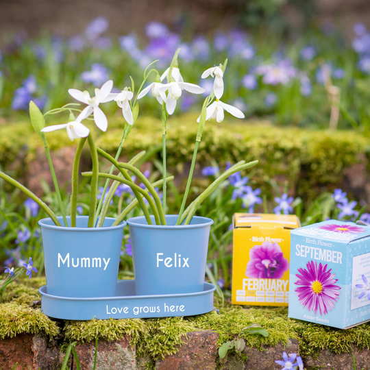 Personalised Metal Blue Double Planter