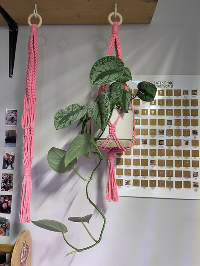 Hot Pink Macrame Hanger