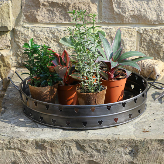 Potting Shed Garden Plant Pot Tray