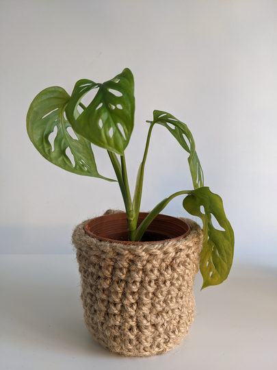 Tiny Jute Plant Pot