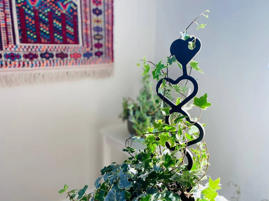 Heart Shaped Trellis To Support Indoor House Plants