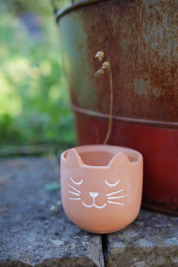 Sass & Belle Mini Cat's Whiskers Terracotta Planter Indoor Plant Pot-Gift