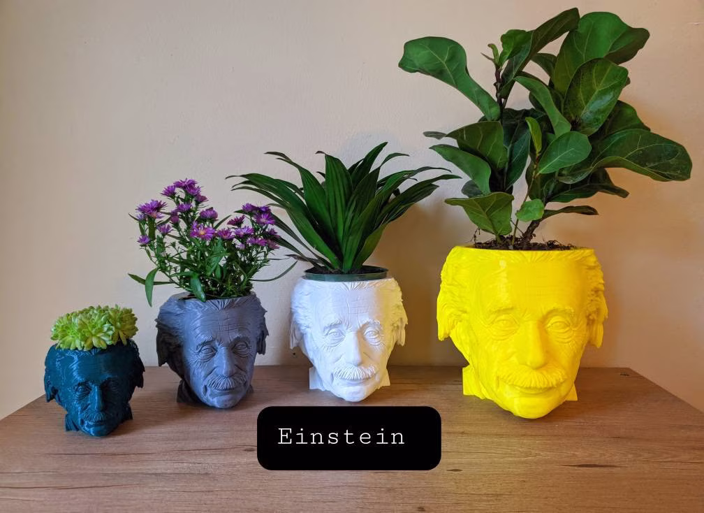 Albert Einstein Head Planter Pot Boho Eclectic Houseplant Succulent Nobel Prize Genius