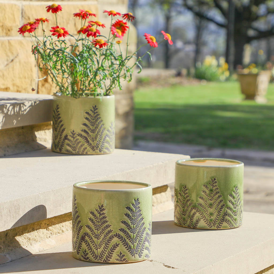 Three Bonsai Green Ceramic Planters