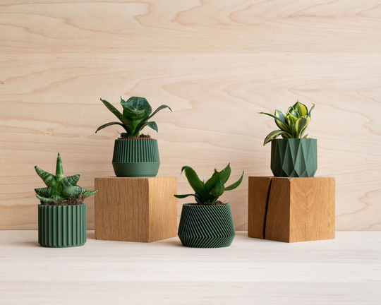 Set Of 4 Green Small Indoor Planters - Original Planter Gift