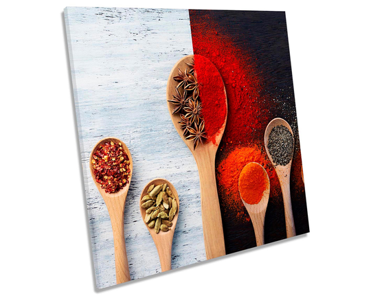 Black White Red Spices Kitchen Picture Canvas Wall Art Square Print