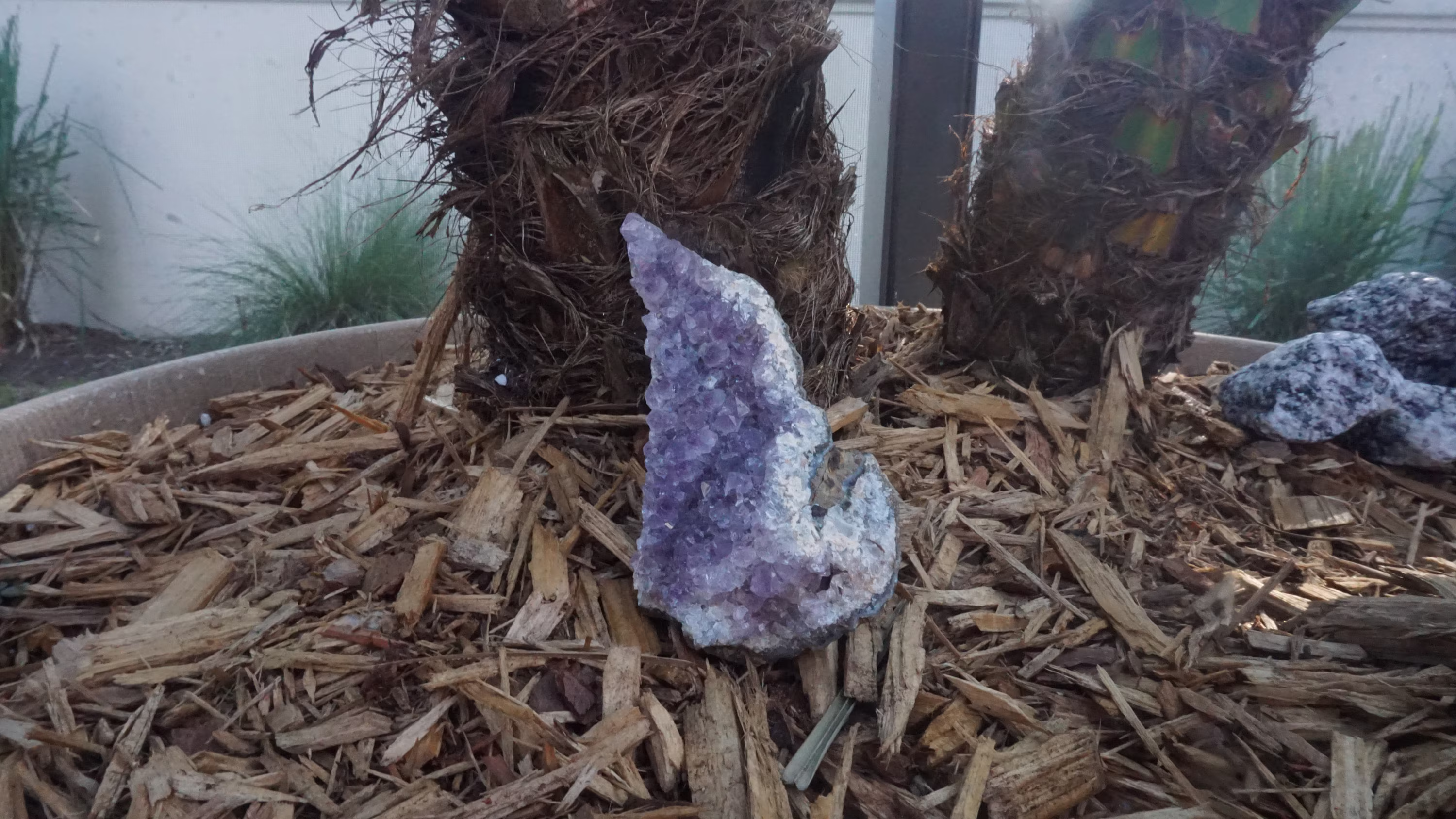 Amethyst Geode #410 | Crystals Deep Purple Gemstone Chakra Stones Wicca Witchcraft Collectable Metaphysical