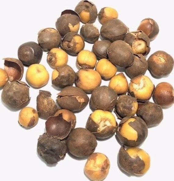 Country Onion, Afrostyrax Lepidophyllus, 50G/10 Usd, Shipping Is 10 Usd