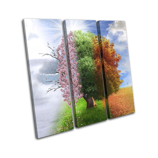 Four Seasons Tree Surrealism Fantasy Treble Canvas Art Print Box Framed Picture Wall Hanging