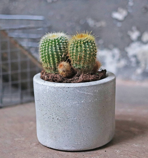 Cement Mini Planter