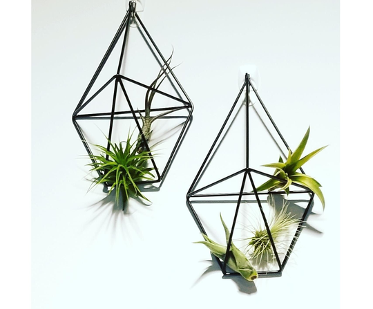 Geometric Wall Air Plant Holder, Terrarium, Tillandsia Hanger, Hanging Plants Metal Terrarium