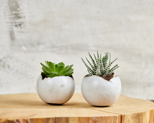 Set Of 2 Medium Shiny White Ceramic Planter Pot, Kitchen/Living Room Bathroom Eclectic Decor, Housewarming Gift