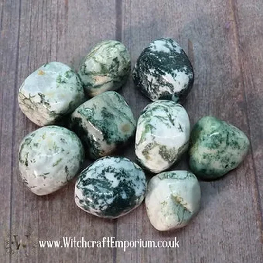 Agate | Tree - Stone Crystal Gemstone Mineral Pagan Wicca Wiccan Magic Spell Ritual Real Genuine Natural