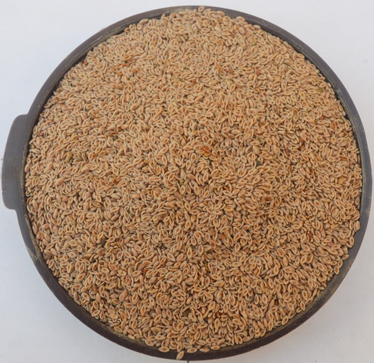 Psyllium Seed, Isabgol Beej, Isabgol Seeds, Plantago Ovata Seeds 100% Pure Natural Herbs Whole