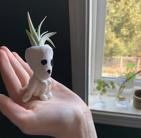 Small Kodama Air Plant Planter