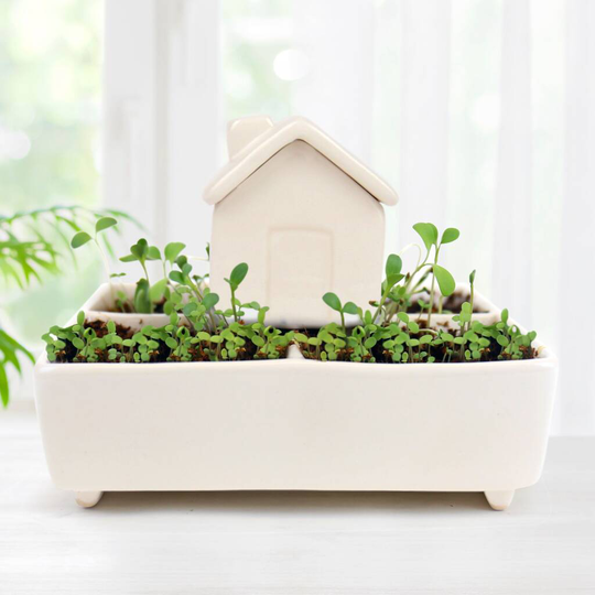 Self Watering Herb House