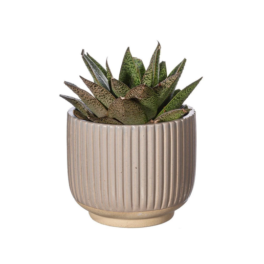 Grey Grooved Planter/Japandi Planter Style Indoor Plant Pot