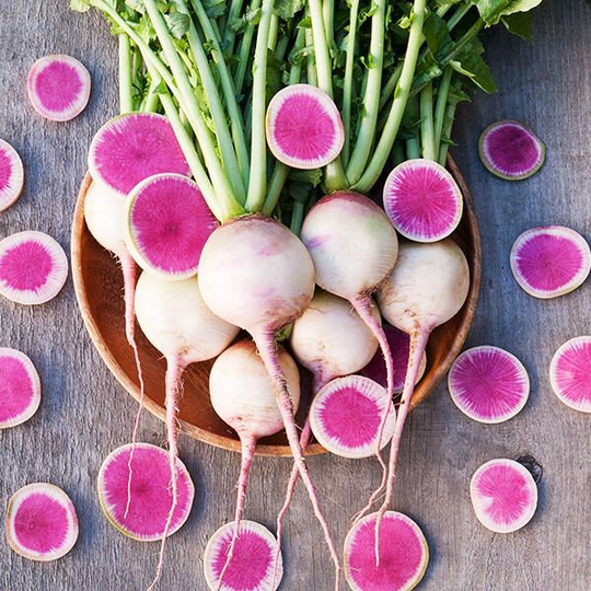 Watermelon Radish Seeds | Non - Gmo