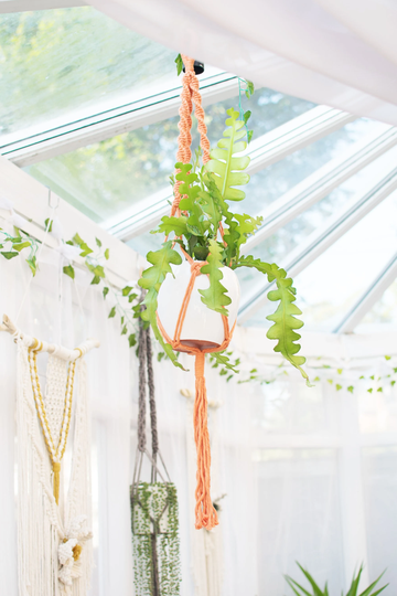 Peach Macrame Plant Hanger, Succulent Holder, Ceiling Danish Pastel Decor, Room Decor For Teens
