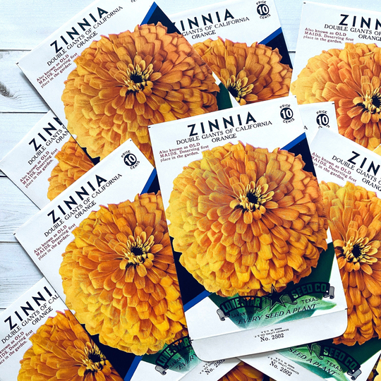 Vintage Flower Seed Packets Empty - Zinnia Set Of 4 Ephemera, Junk Journal, Craft Supplies, Packs