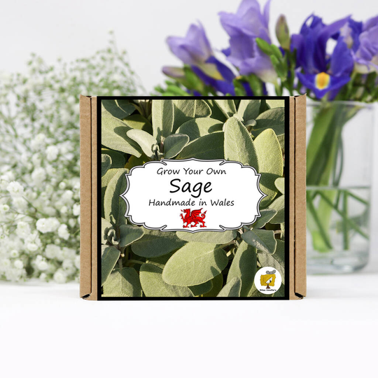 Grow Your Own Herbs Kit / Sage