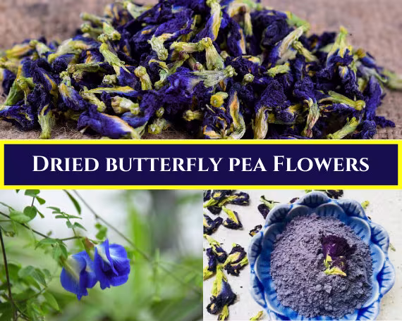 Dry Butterfly Pea Flowers(Clitoria TernateaLoose Leaf Tea/Organic Blue Tea-Dried Butterfly Pea/Butterfly Pea Powder & Dried Flower