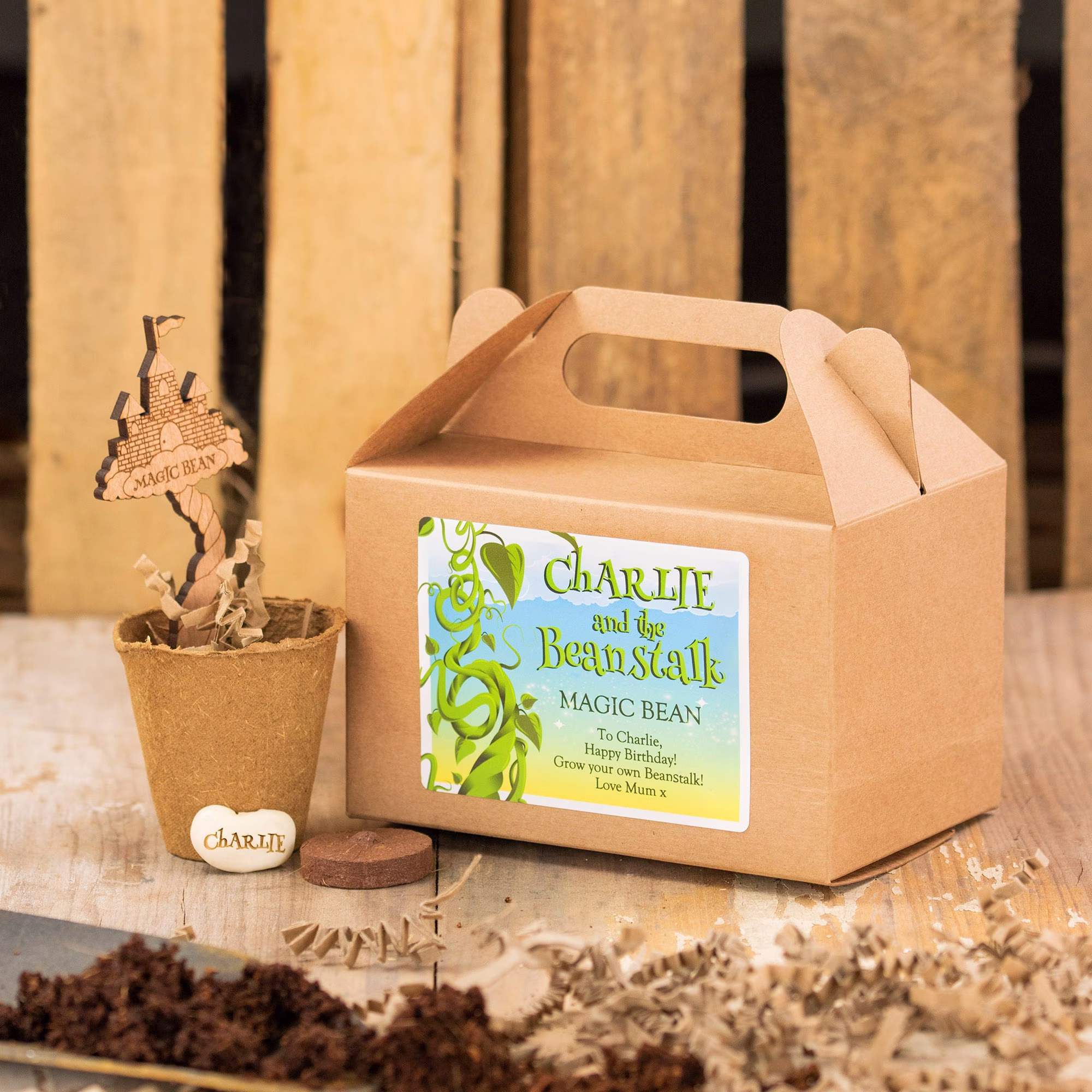 Personalised Magic Beanstalk Seed Kit, Kids Grow Your Own Kits, Beans, Eco-Friendly, Pantomime Fun, Summer Holiday Fun