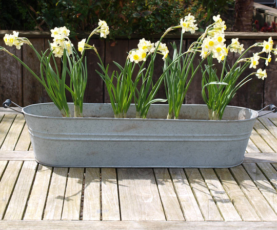 Oval Zinc Planter