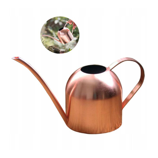 Watering stainless steel can water garden watering flower can water plant garden Plant water bottle household 500 ml (a)